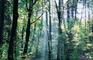 CASA LOFT & LaMansarda - Foto 50