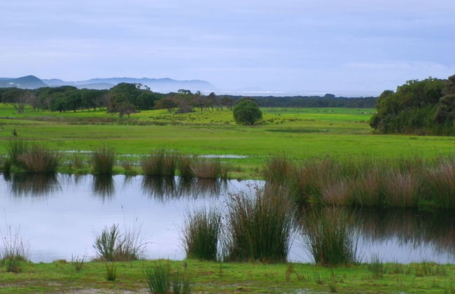 Nutkin Lodge - Photo 77