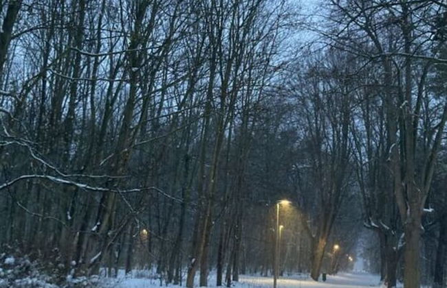 Am Stadtwald Apartment 3 - Foto 14