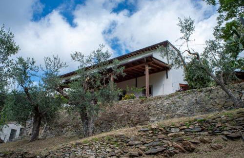 Podere del Pari - Foto 13