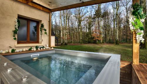 Crazy Villa Ecottay 61 - Heated pool & sauna - 2h from Paris - 30p - Foto 3
