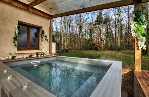 Crazy Villa Ecottay 61 - Heated pool & sauna - 2h from Paris - 30p - Foto 3