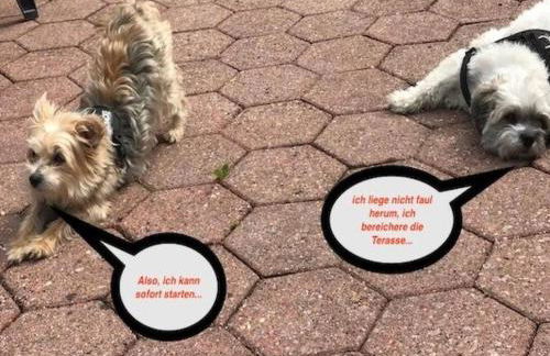 Apartment Huus Thimo by Interhome - Foto 21