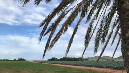 Casa Encanto - Ribera Beach in Mar de Cristal - Foto 5