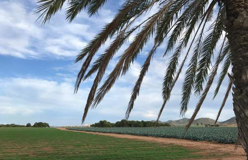 Casa Encanto - Ribera Beach in Mar de Cristal - Foto 5