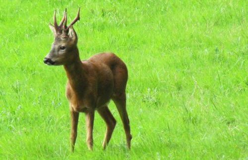 1 Bed in Harrogate oc-hh071 - Photo 14