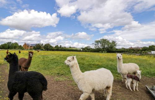 Lavender Cottage - Foto 27