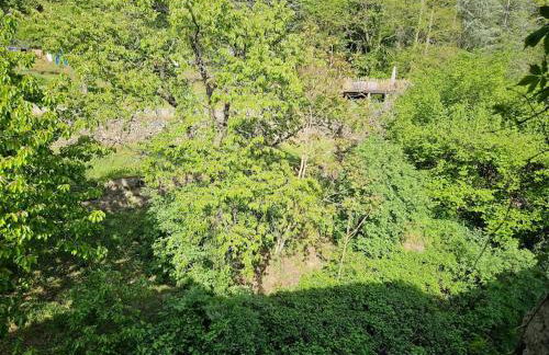 Appartement Malleval Chez Jeanne - Foto 9