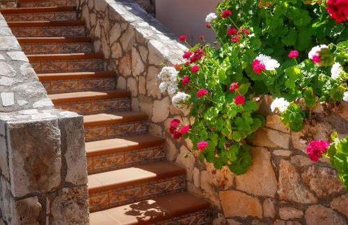 Areti Aparthotel - Foto 66