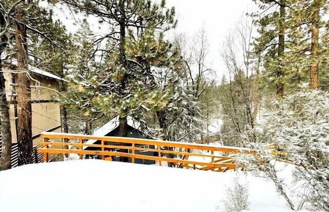 Forest Escape - Foto 12