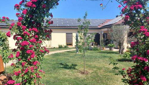 Landidylle - Foto 5, Garden, Garden view