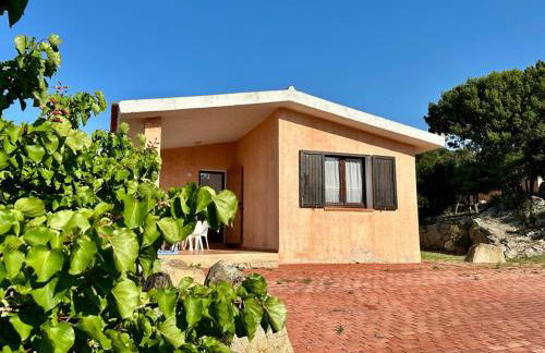 I bilocali di via Ginestre, Rena Majore - Foto 14