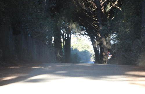 Podere Campo alle Serpi - Foto 37