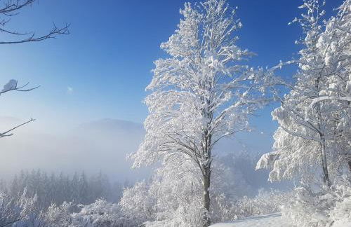 Ferienhaus Alexandra - Foto 13