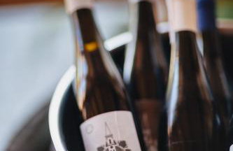 Winnica Mozów - Foto 9