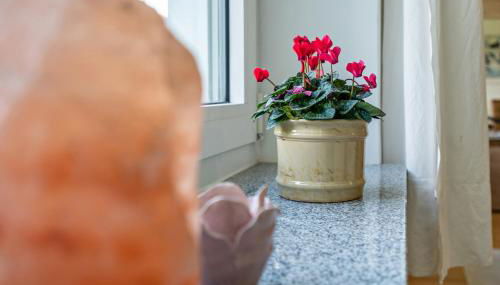 Appartment Piano - Foto 2