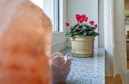 Appartment Piano - Foto 2