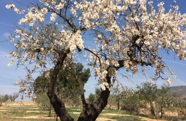 La Era de Alcántara - Foto 31