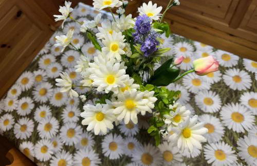 Casa Margherita - Valbruna - Photo 17