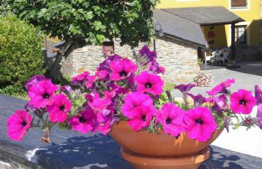 Apartamentos Rurales Casa Pachona - Foto 21