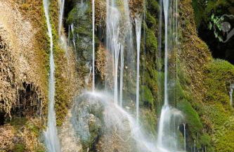 Los Gavilanes BOGARRA - Foto 29