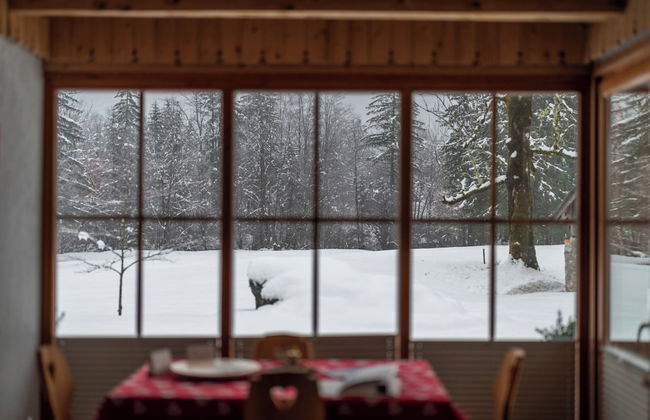 ALPIK Chalets - Bohinj - Foto 42