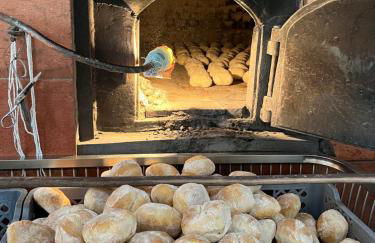 Citrus Tree House, private pool and garden. - Foto 36