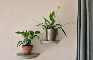 Cisterna - Loft con giardino - Foto 20