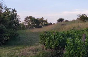 Les jardins du Canal - Foto 35