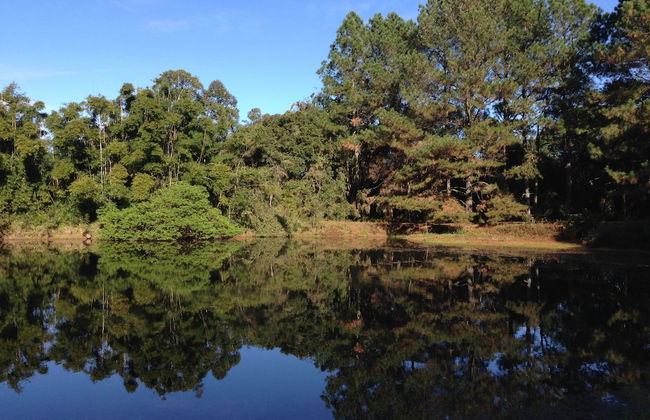 Chalet em Viamão - Foto 42