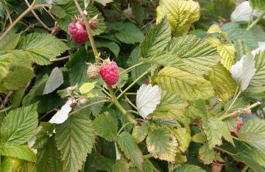 Imagination by Olauda SA - 3 bed House with Free Parking - Foto 54