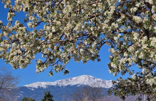 Views of Pikes Peak - Sleeps up to 10 - Foto 28