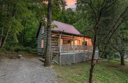 Smokies Cabin with Hot Tub and Arcade Games - Photo 46