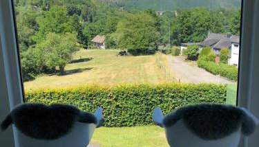 Jidajo See Cottage Nationalpark Eifel - Foto 3