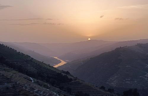 Quinta do Fraguil - Douro Valley - Photo 52