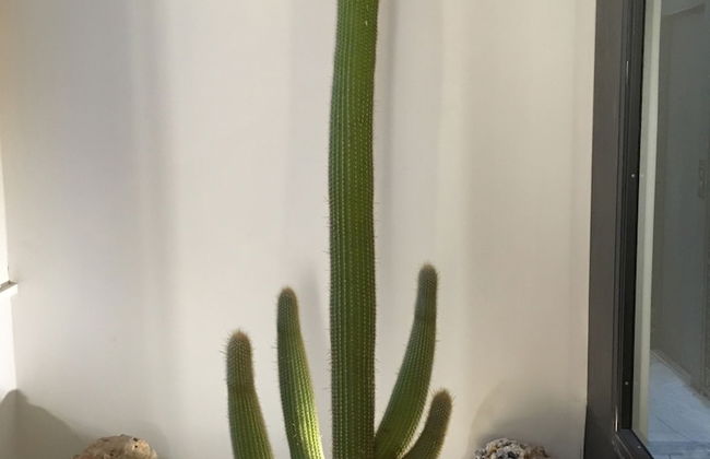 Atypical Rooms - Foto 35