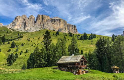 Cesa Bernard - Apartment Cima 12 e new Apartment Fraine - Foto 54