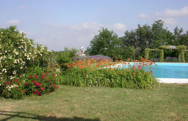 Arriga Alta - Foto 24