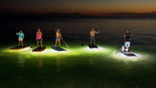 Tour nocturno en kayak por los manglares de Mandinga - Foto 5, Stand Up Paddle nocturno