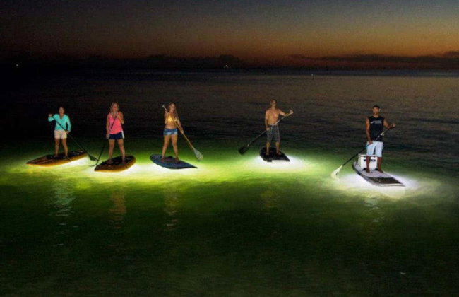 Tour nocturno en kayak por los manglares de Mandinga - Foto 5