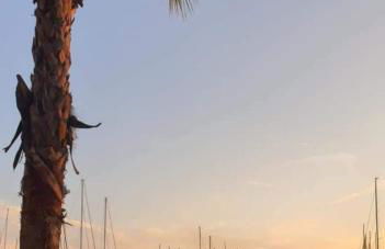 Chez Valéric - Foto 24