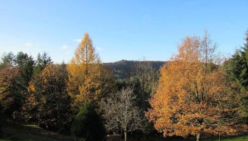 Le gîte du Männele - Into my Hardt - Foto 3