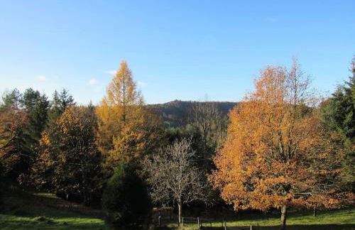 Le gîte du Männele - Into my Hardt - Photo 3