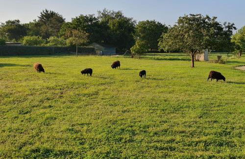 Appartement independant à Sarzeau Emplacement exceptionnel 4 couchages - Foto 1