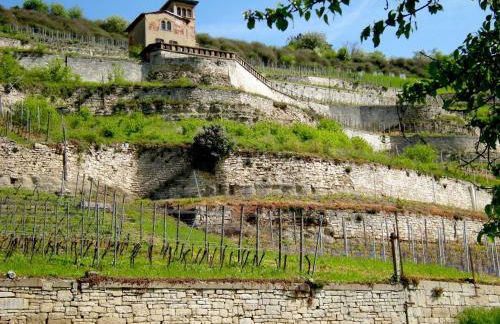 Ferienhaus Zur alten Korbmacherei - Foto 35