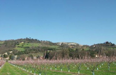 Villa Il Cigno - Photo 49