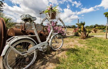 Villa Son Fanals - Foto 28