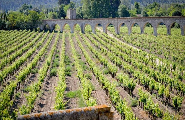 Residence du Chateau de Jouarres, Azille - Studio 2 Pers. With Balcony - Foto 59