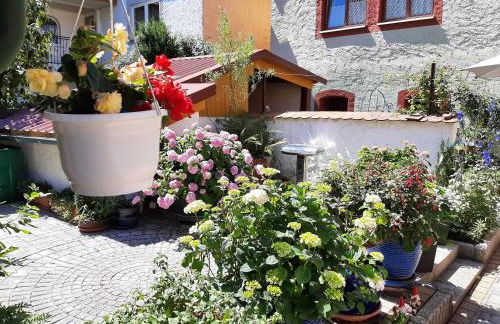 Ferienhäuschen Rosi Brehm - Foto 13