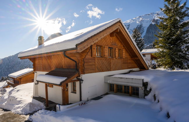 Six des Armailles - Foto 31